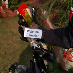 The Ramadan "Velvet Midnight" Rose