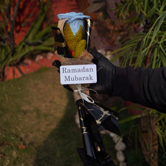 The Ramadan "Azure Serenity" Rose