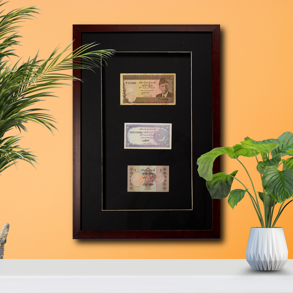 Framed collection of vintage banknotes on a yellow wall with plants.