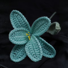 Turquoise Bloom Crochet Lily