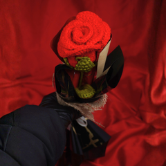 Single Stem Red Wrapped Gift