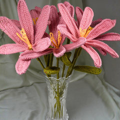The Blushing Stargazer Combo