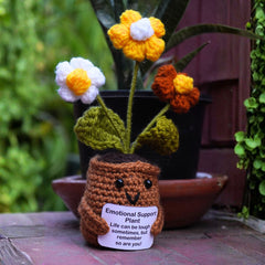 Emotional Support Plant – Crocheted Plush Flower Pot