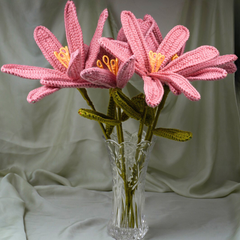 The Blushing Stargazer Combo