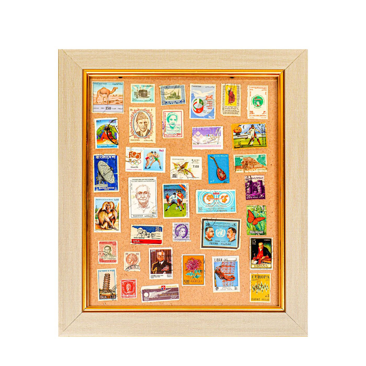 Collections Showcase