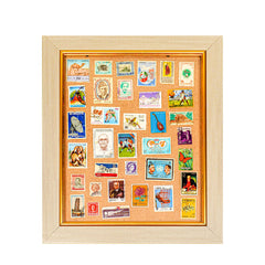 Collections Showcase
