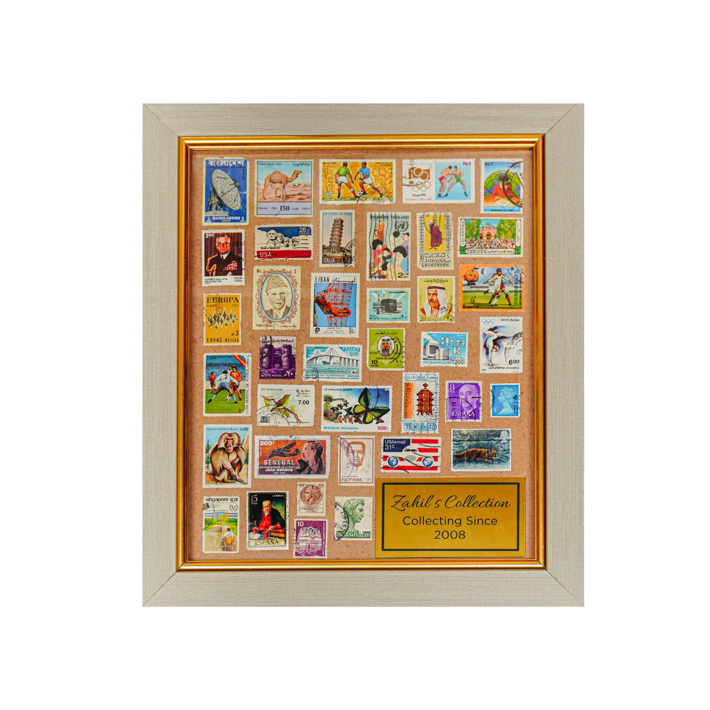 Collections Showcase