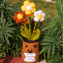 The Ramadan "Everlasting Barakah" Bloom