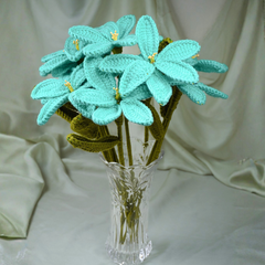 The Ocean Breeze Azure Combo