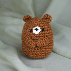 “Warmie Teddy” For cozy winters